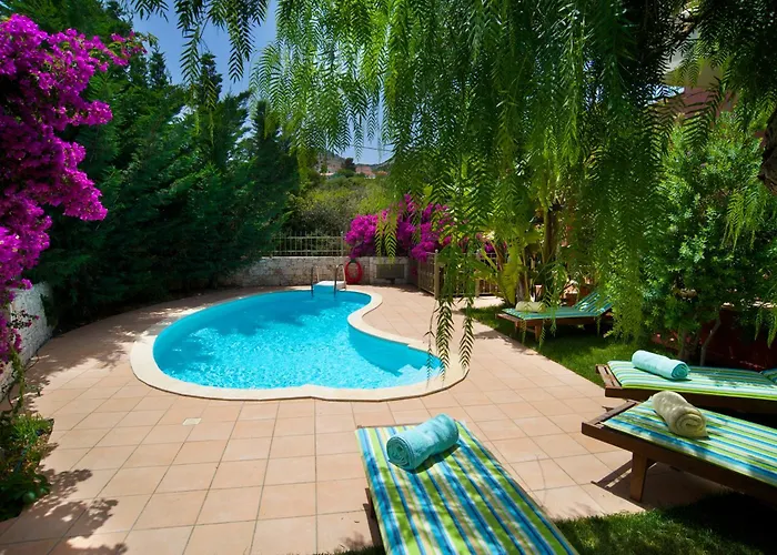 Stamoulis Agia Efimia